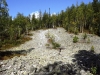 Файл=DSCF3505.JPG
Объём=243KB
Размеры=1024x768
Дата=Авг 29, 2012 DSCF3505.JPG