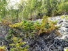 DSCF3508.JPG