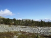 DSCF3524.JPG