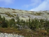 Файл=DSCF3529.JPG
Объём=240KB
Размеры=1024x768
Дата=Авг 29, 2012 DSCF3529.JPG
