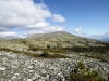 Файл=DSCF3536.JPG
Объём=165KB
Размеры=1024x768
Дата=Авг 29, 2012 DSCF3536.JPG