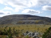 DSCF3540.JPG
