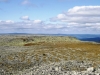 Файл=DSCF3548.JPG
Объём=179KB
Размеры=1024x768
Дата=Авг 29, 2012 DSCF3548.JPG