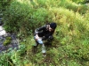 Файл=DSCF3560.JPG
Объём=271KB
Размеры=1024x768
Дата=Авг 29, 2012 DSCF3560.JPG