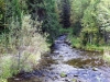 Файл=DSCF3584.JPG
Объём=220KB
Размеры=1024x768
Дата=Авг 29, 2012 DSCF3584.JPG