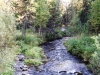 Файл=DSCF3585.JPG
Объём=243KB
Размеры=1024x768
Дата=Авг 29, 2012 DSCF3585.JPG