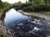Файл=DSCF3597.JPG
Объём=158KB
Размеры=1024x768
Дата=Авг 29, 2012 DSCF3597.JPG