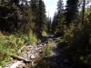 Файл=DSCF3617.JPG
Объём=253KB
Размеры=1024x768
Дата=Авг 29, 2012 DSCF3617.JPG