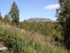 Файл=DSCF3621.JPG
Объём=285KB
Размеры=1024x768
Дата=Авг 29, 2012 DSCF3621.JPG