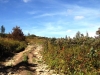 Файл=DSCF3626.JPG
Объём=181KB
Размеры=1024x768
Дата=Авг 29, 2012 DSCF3626.JPG