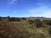 Файл=DSCF3633.JPG
Объём=184KB
Размеры=1024x768
Дата=Авг 29, 2012 DSCF3633.JPG