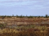 Файл=DSCF3652.JPG
Объём=157KB
Размеры=1024x768
Дата=Авг 29, 2012 DSCF3652.JPG