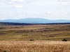Файл=DSCF3677.JPG
Объём=101KB
Размеры=1024x768
Дата=Авг 29, 2012 DSCF3677.JPG
