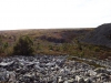 Файл=DSCF3717.JPG
Объём=145KB
Размеры=1024x768
Дата=Авг 29, 2012 DSCF3717.JPG