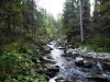 Файл=DSCF3730.JPG
Объём=192KB
Размеры=1024x768
Дата=Авг 29, 2012 DSCF3730.JPG