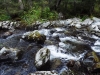 Файл=DSCF3731.JPG
Объём=192KB
Размеры=1024x768
Дата=Авг 29, 2012 DSCF3731.JPG