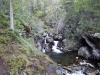 Файл=DSCF3759.JPG
Объём=200KB
Размеры=1024x768
Дата=Авг 29, 2012 DSCF3759.JPG