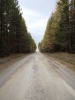 Файл=DSCF3831.JPG
Объём=137KB
Размеры=768x1024
Дата=Окт 03, 2012 DSCF3831.JPG