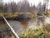 Файл=DSCF3844.JPG
Объём=281KB
Размеры=1024x768
Дата=Окт 03, 2012 DSCF3844.JPG