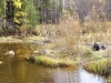 Файл=DSCF3846.JPG
Объём=288KB
Размеры=1024x768
Дата=Окт 03, 2012 DSCF3846.JPG