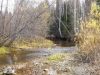 Файл=DSCF3848.JPG
Объём=312KB
Размеры=1024x768
Дата=Окт 03, 2012 DSCF3848.JPG
