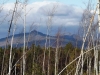 Файл=DSCF3872.JPG
Объём=200KB
Размеры=1024x768
Дата=Окт 03, 2012 DSCF3872.JPG
