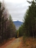 DSCF3885.JPG