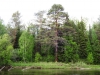 Файл=DSCF4716.JPG
Объём=165KB
Размеры=1024x768
Дата=Июль 16, 2013 DSCF4716.JPG