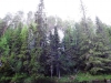 Файл=DSCF4930.JPG
Объём=149KB
Размеры=1024x768
Дата=Июль 16, 2013 DSCF4930.JPG