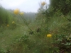 Файл=DSCF4966.JPG
Объём=100KB
Размеры=1024x768
Дата=Июль 18, 2013 DSCF4966.JPG