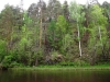 Файл=DSCF4985.JPG
Объём=232KB
Размеры=1024x768
Дата=Июль 18, 2013 DSCF4985.JPG