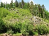 DSCF5168.JPG