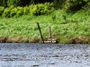 DSCF5247.JPG