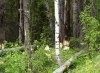 Файл=DSCF5283.JPG
Объём=187KB
Размеры=1024x750
Дата=Июль 29, 2013 DSCF5283.JPG