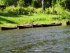 Файл=DSCF5366.JPG
Объём=206KB
Размеры=1024x768
Дата=Июль 29, 2013 DSCF5366.JPG