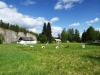 Файл=DSCF5416.JPG
Объём=155KB
Размеры=1024x768
Дата=Июль 29, 2013 DSCF5416.JPG