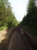 Файл=DSCF5511.JPG
Объём=144KB
Размеры=768x1024
Дата=Авг 16, 2013 DSCF5511.JPG