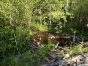 Файл=DSCF5519.JPG
Объём=275KB
Размеры=1024x768
Дата=Авг 16, 2013 DSCF5519.JPG