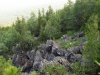 Файл=DSCF5529.JPG
Объём=167KB
Размеры=1024x768
Дата=Авг 16, 2013 DSCF5529.JPG