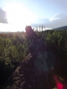 Файл=DSCF5607.JPG
Объём=81KB
Размеры=768x1024
Дата=Июль 25, 2013 DSCF5607.JPG