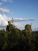 Файл=DSCF5639.JPG
Объём=84KB
Размеры=768x1024
Дата=Июль 25, 2013 DSCF5639.JPG