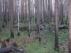 Файл=IMG_0470.JPG
Объём=205KB
Размеры=1024x768
Дата=Май 25, 2012 IMG_0470.JPG
