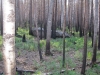 Файл=IMG_0475.JPG
Объём=212KB
Размеры=1024x768
Дата=Май 25, 2012 IMG_0475.JPG