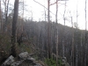 Файл=IMG_0497.JPG
Объём=132KB
Размеры=1024x768
Дата=Май 25, 2012 IMG_0497.JPG
