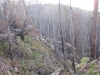 Файл=IMG_0499.JPG
Объём=188KB
Размеры=1024x768
Дата=Май 25, 2012 IMG_0499.JPG