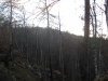 Файл=IMG_0500.JPG
Объём=138KB
Размеры=1024x768
Дата=Май 25, 2012 IMG_0500.JPG