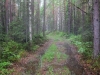 Файл=IMG_0606.JPG
Объём=218KB
Размеры=1024x768
Дата=Июнь 15, 2012 IMG_0606.JPG
