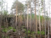 Файл=IMG_0643.JPG
Объём=267KB
Размеры=1024x768
Дата=Июнь 15, 2012 IMG_0643.JPG