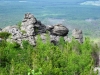IMG_0787.JPG