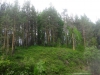 Файл=IMG_4099.JPG
Объём=171KB
Размеры=1024x768
Дата=Июль 16, 2013 IMG_4099.JPG